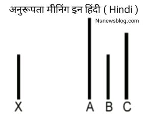 अनुरूपता किसे कहतें है? ( Meaning of Conformity in Hindi )